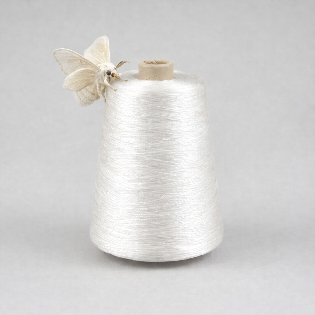 Mulberry Moth on Cone